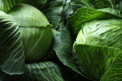 Photo of Wet ripe heads of cabbages as background, closeup