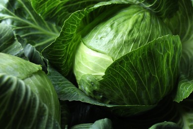 Photo of Wet ripe heads of cabbages as background, closeup