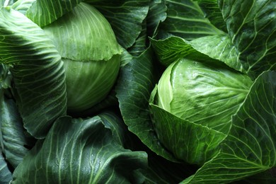 Photo of Wet ripe heads of cabbages as background, top view