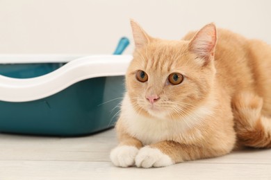 Photo of Cute ginger cat lying near litter tray on floor indoors