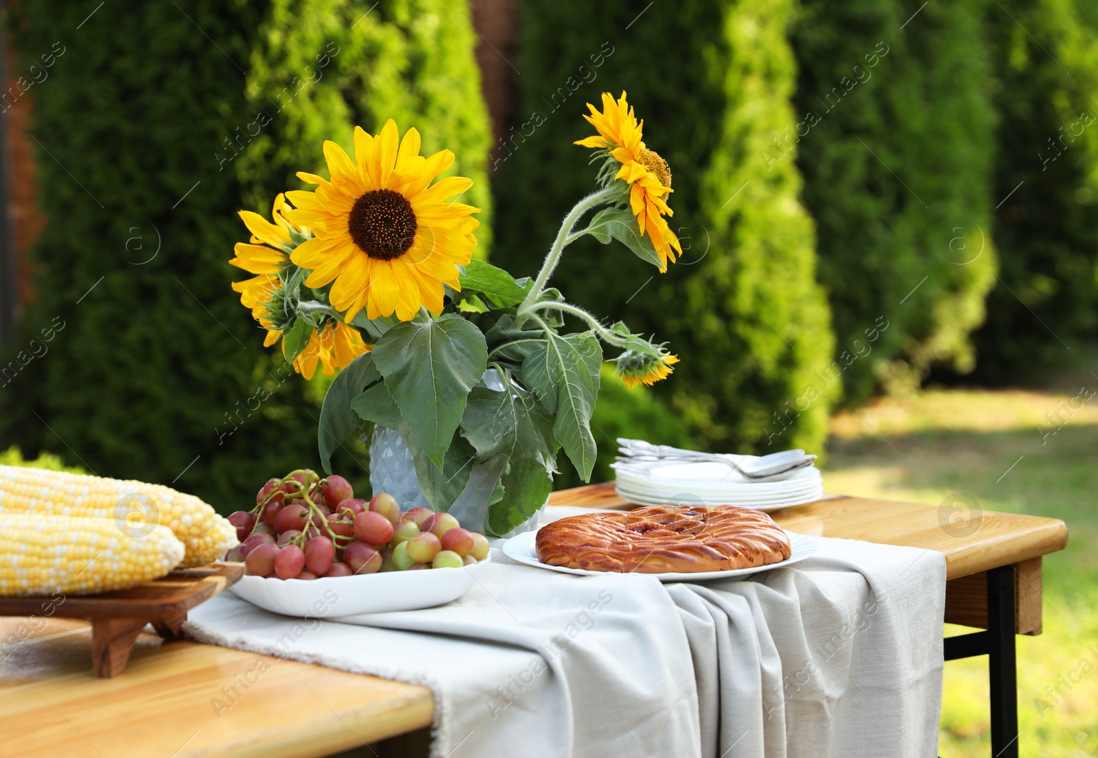 Photo of Vase with sunflowers, grapes, pie and corncobs on wooden table in garden