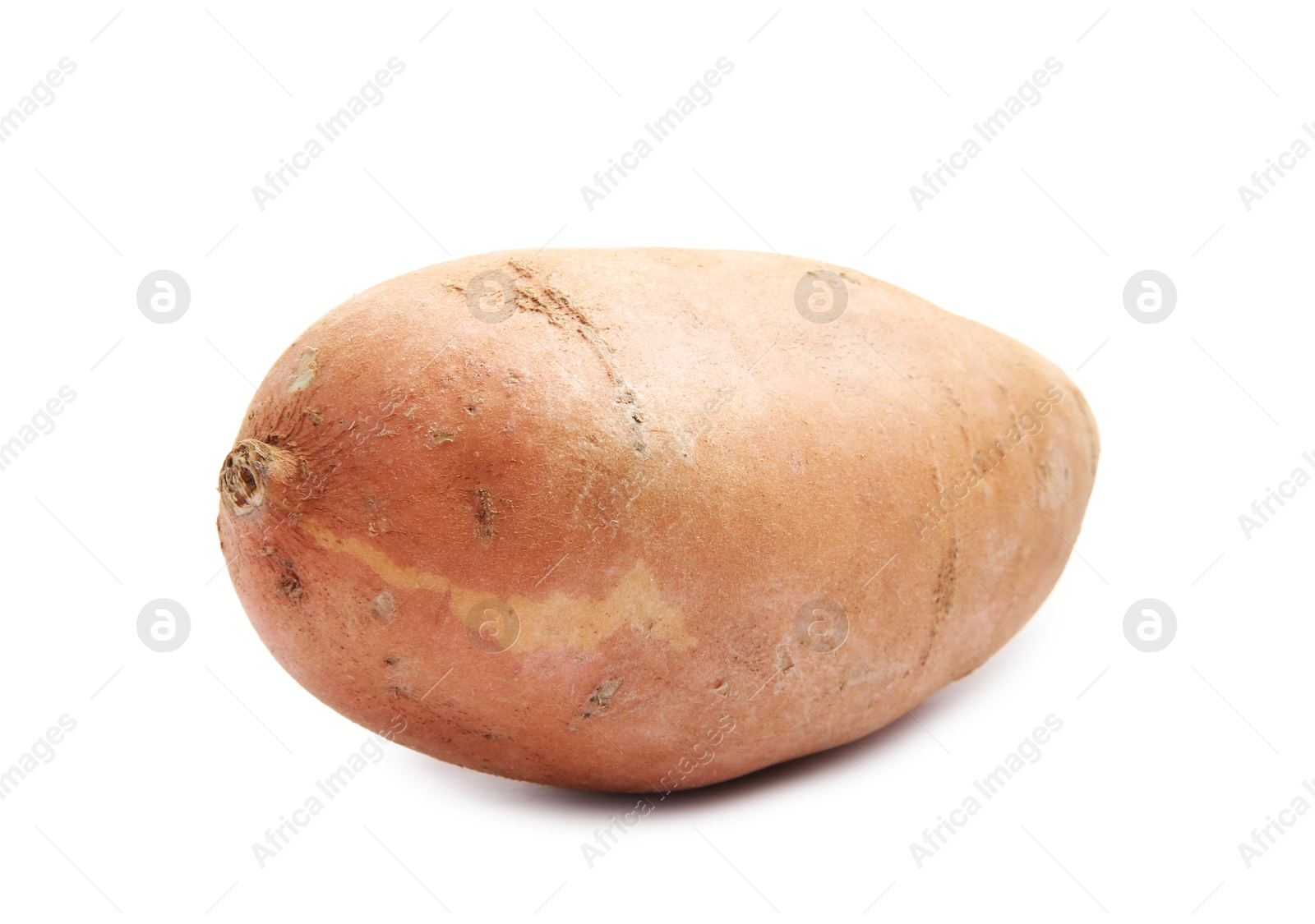 Photo of Fresh raw sweet potato isolated on white