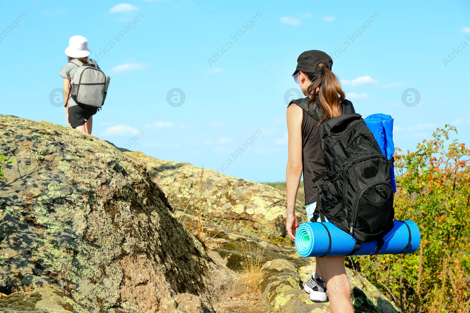 Photo of Family climbing on stones outdoors on sunny day, back view