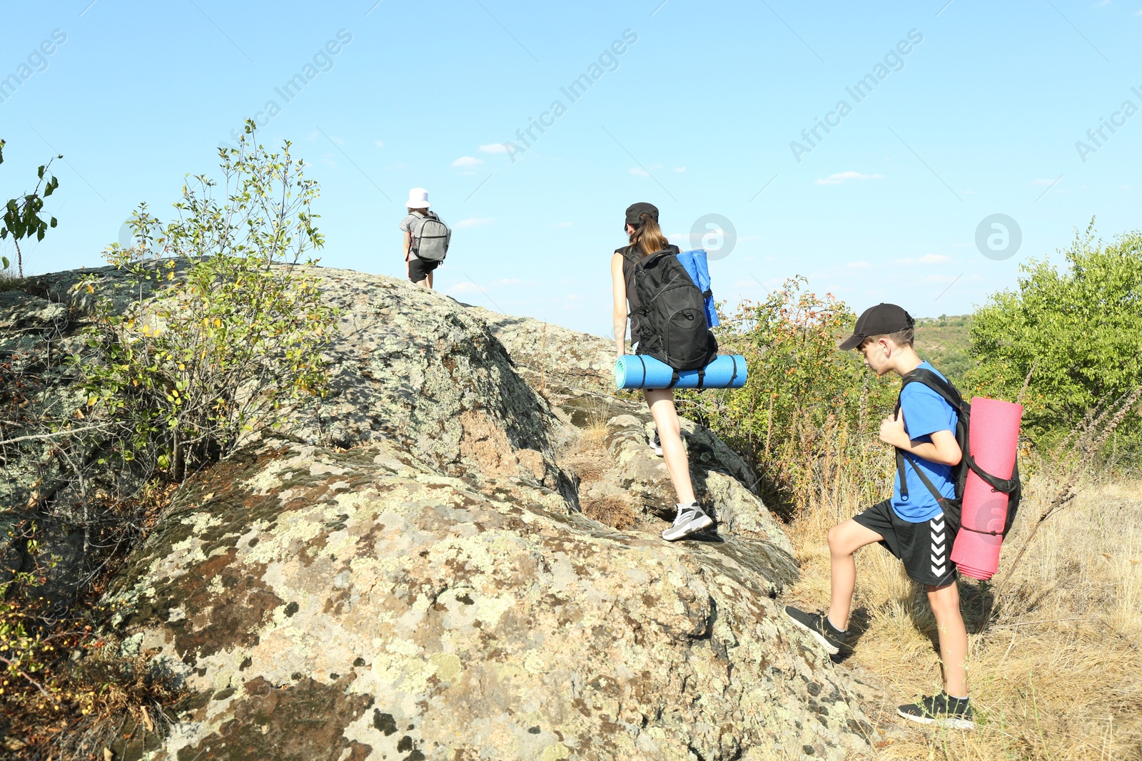 Photo of Family climbing on stones outdoors on sunny day, back view