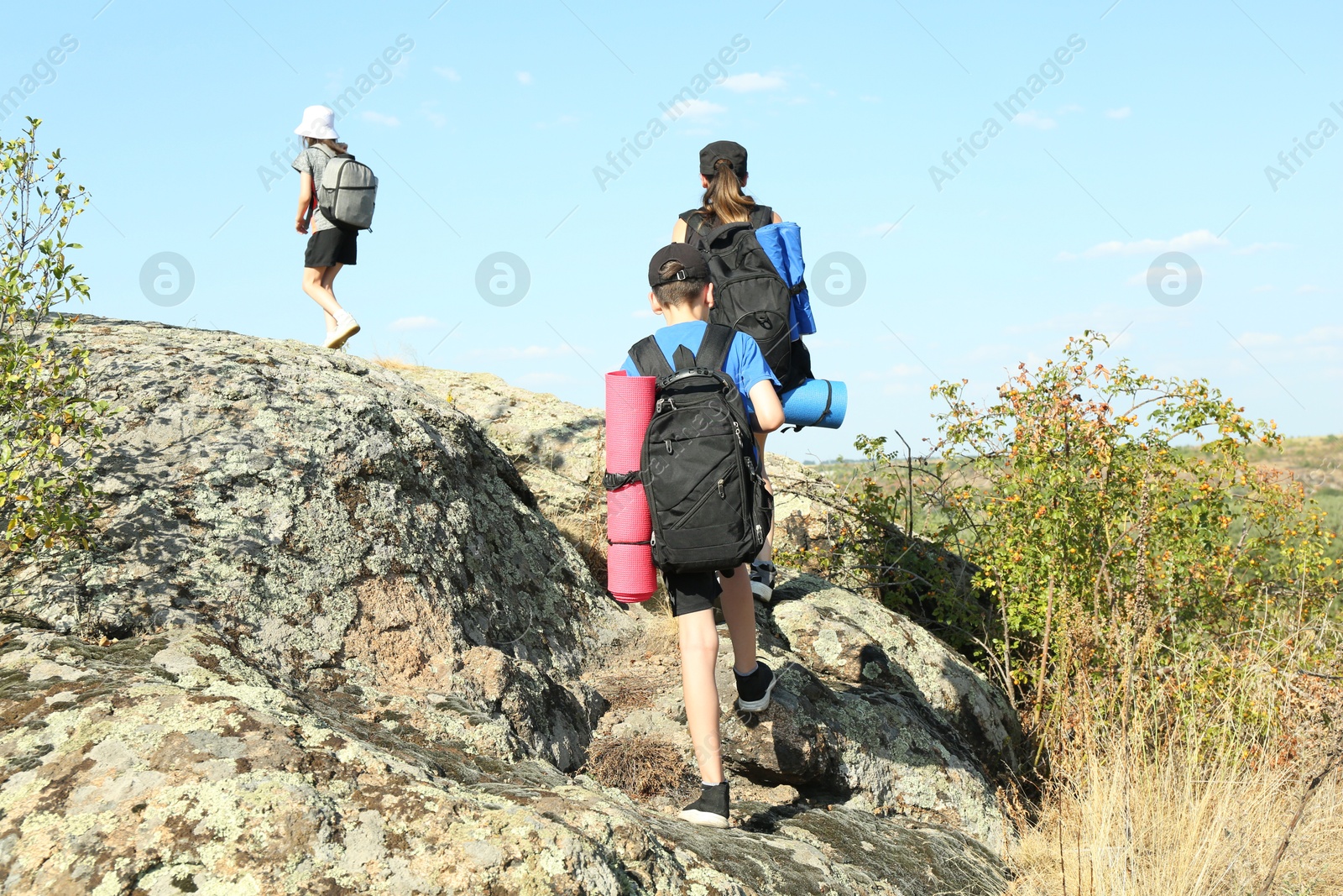 Photo of Family climbing on stones outdoors on sunny day, back view