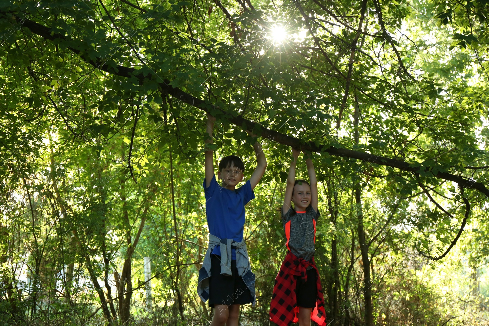 Photo of Brother and sister travelling in beautiful forest