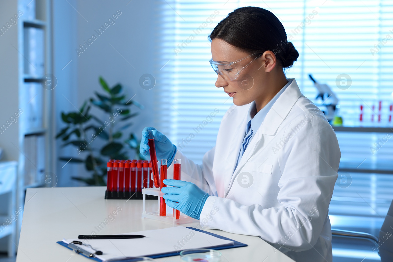 Photo of Laboratory testing. Doctor with blood samples at table indoors