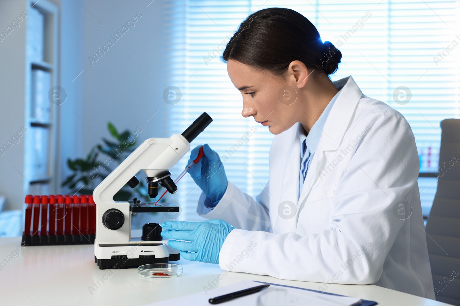 Photo of Laboratory testing. Doctor dripping blood sample onto glass slide while working with microscope at table indoors