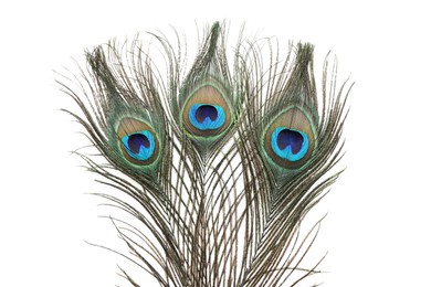 Three beautiful peacock feathers isolated on white