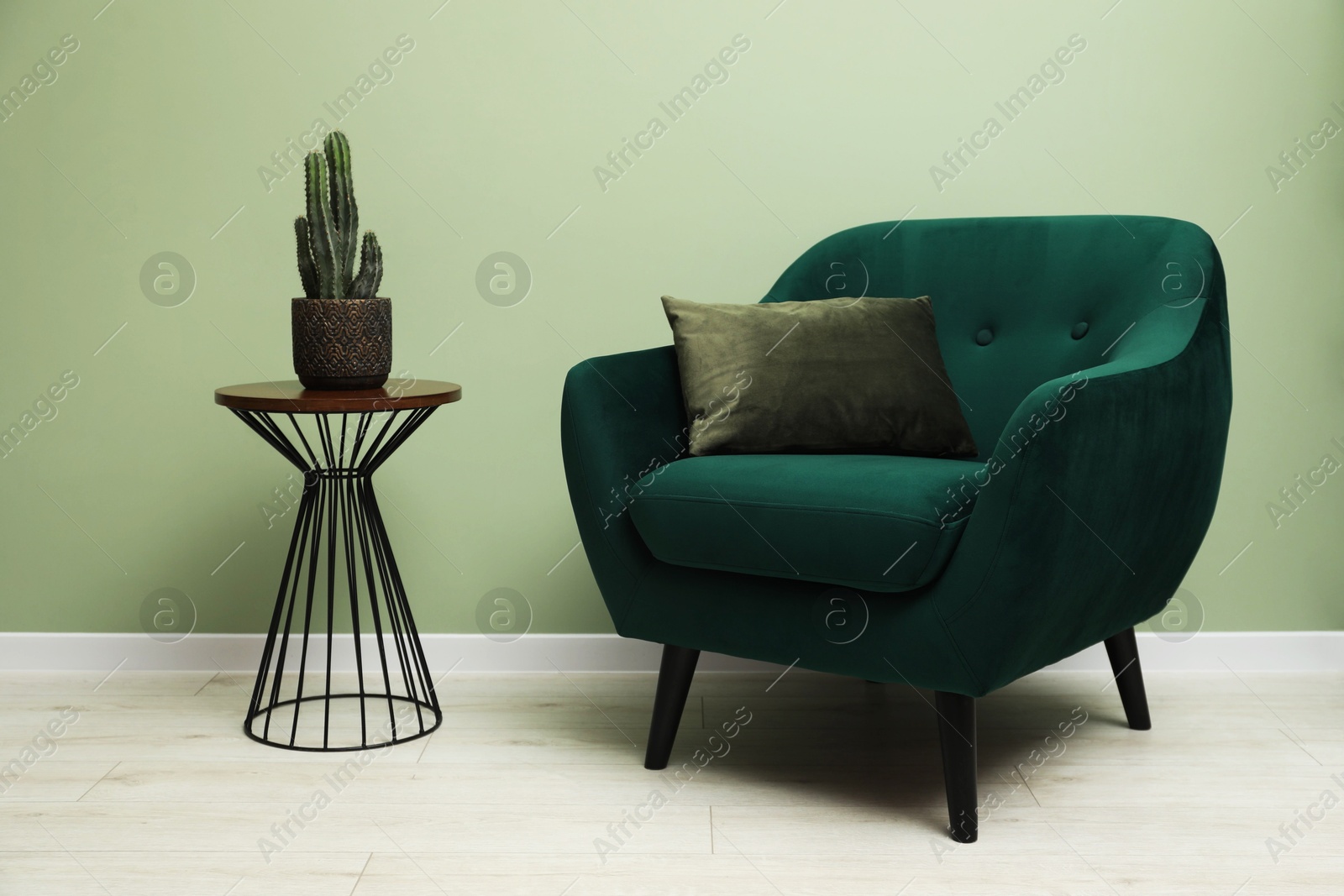 Photo of Stylish green armchair with pillow and cactus on side table near olive wall