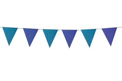 Image of Fabric flags on rope against white background. Party decoration