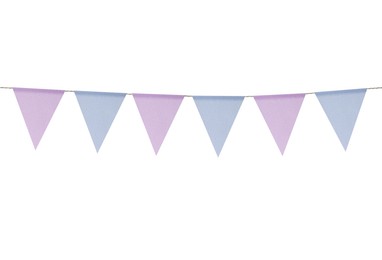 Image of Fabric flags on rope against white background. Party decoration