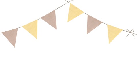 Image of Fabric flags on rope against white background. Party decoration