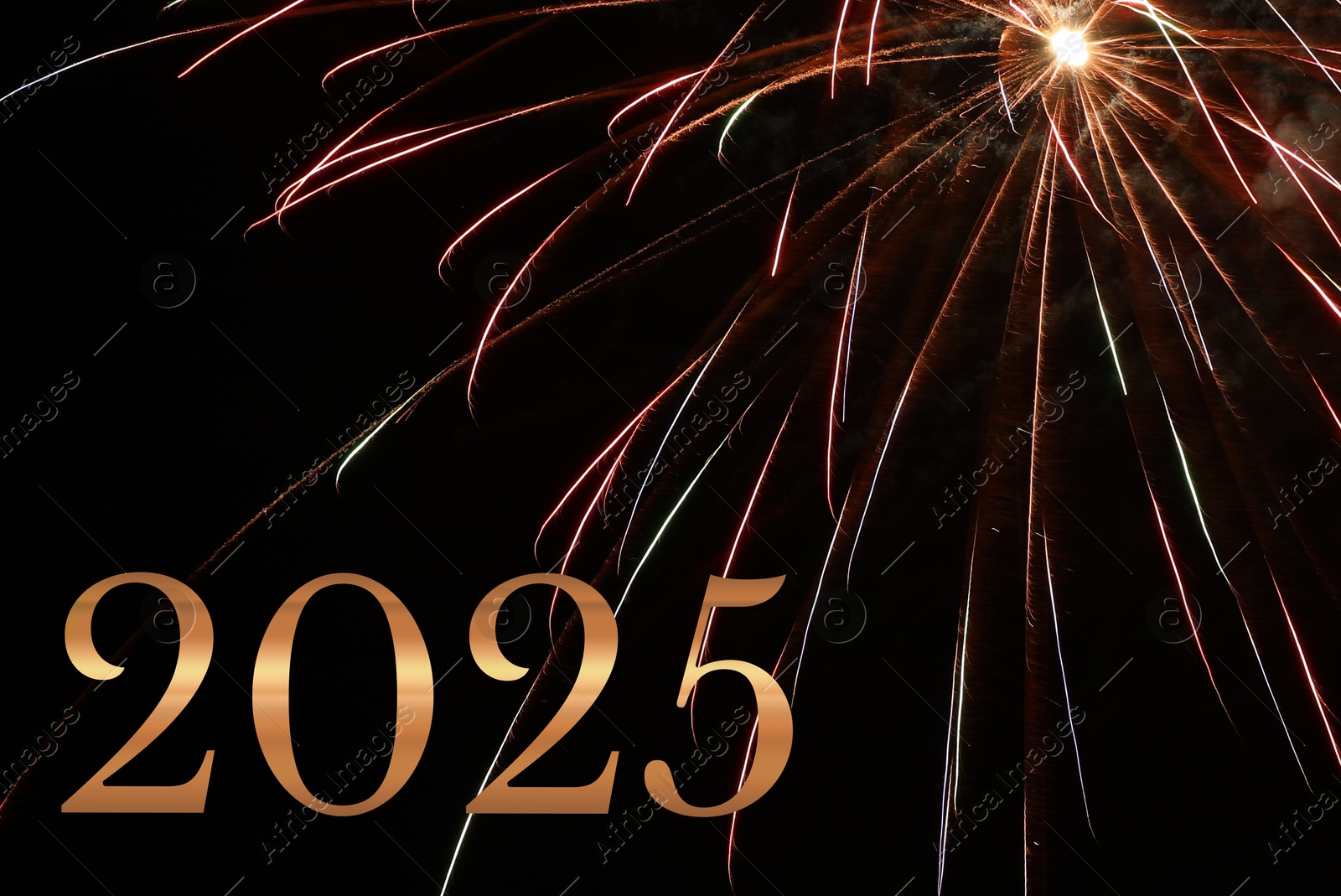 Image of 2025 New Year greeting card with firework on black background