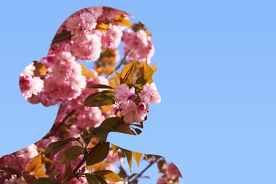 Silhouette of woman filled with blossoming sakura tree on light blue background. Concept of beauty, femininity and inner peace