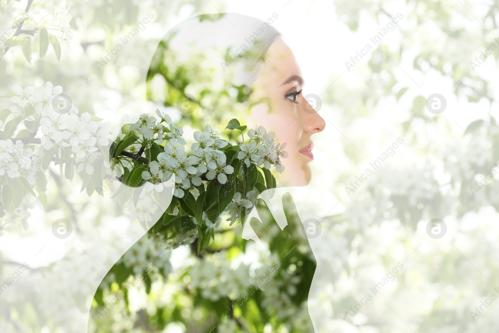 Image of Attractive woman and blossoming spring tree, double exposure. Concept of beauty, femininity and inner peace