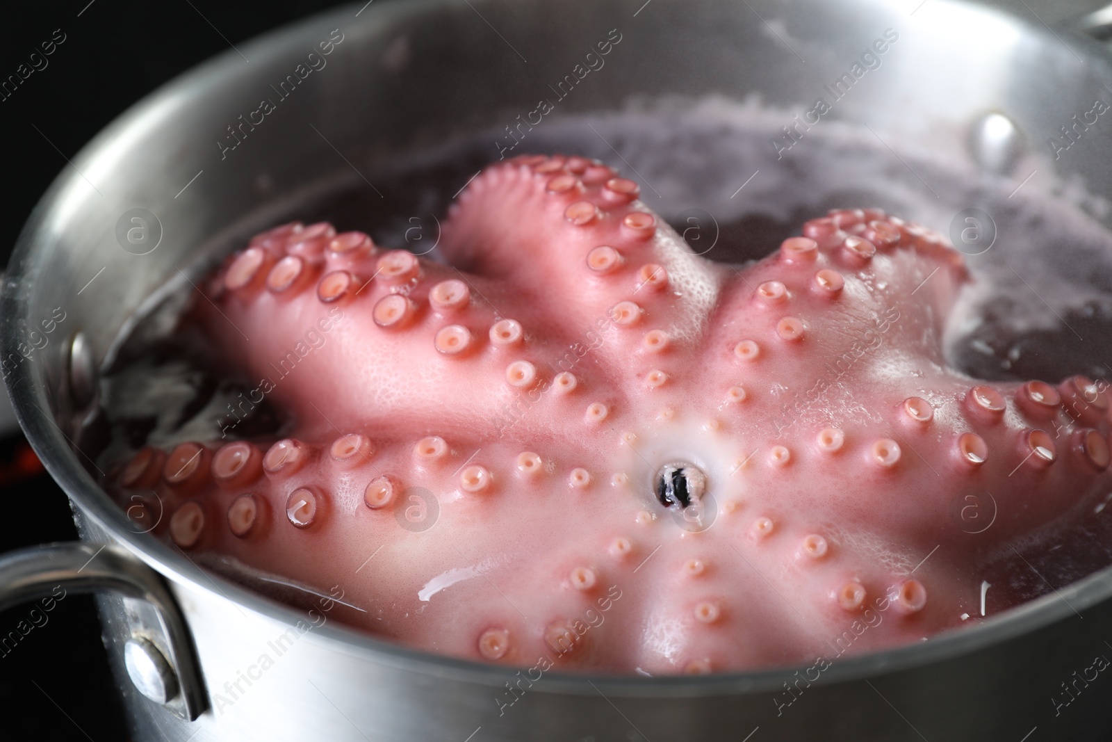 Photo of Fresh octopus boiling in pan on stove, closeup