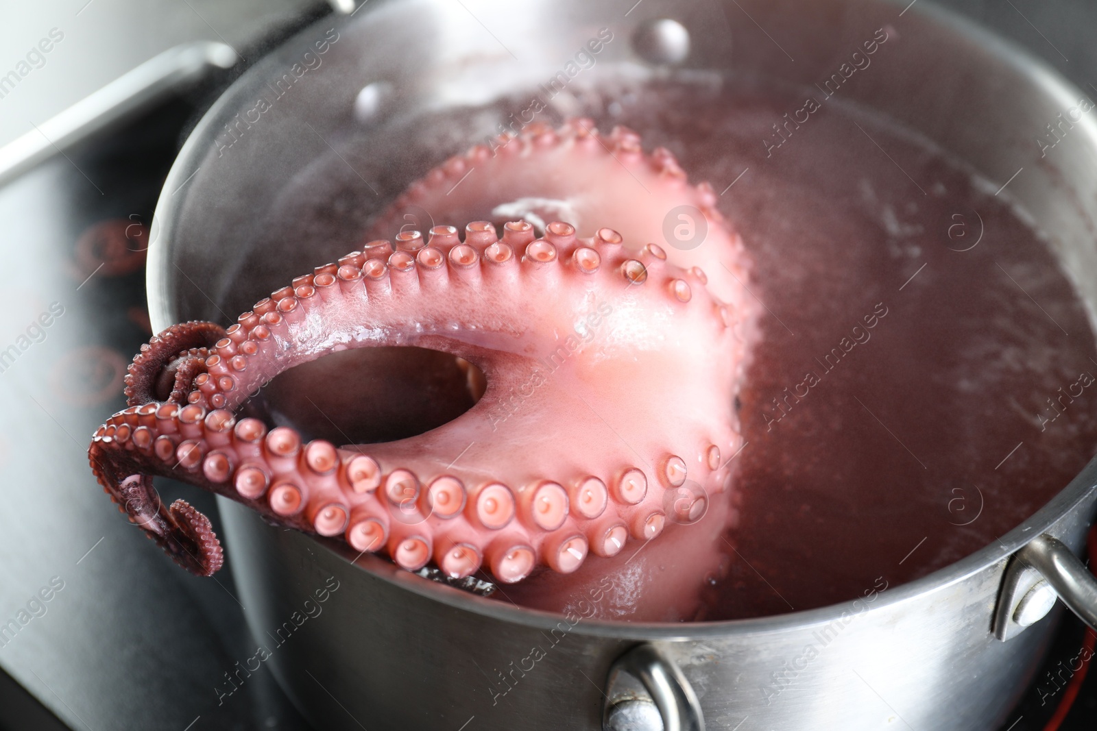 Photo of Fresh octopus boiling in pan on stove, closeup