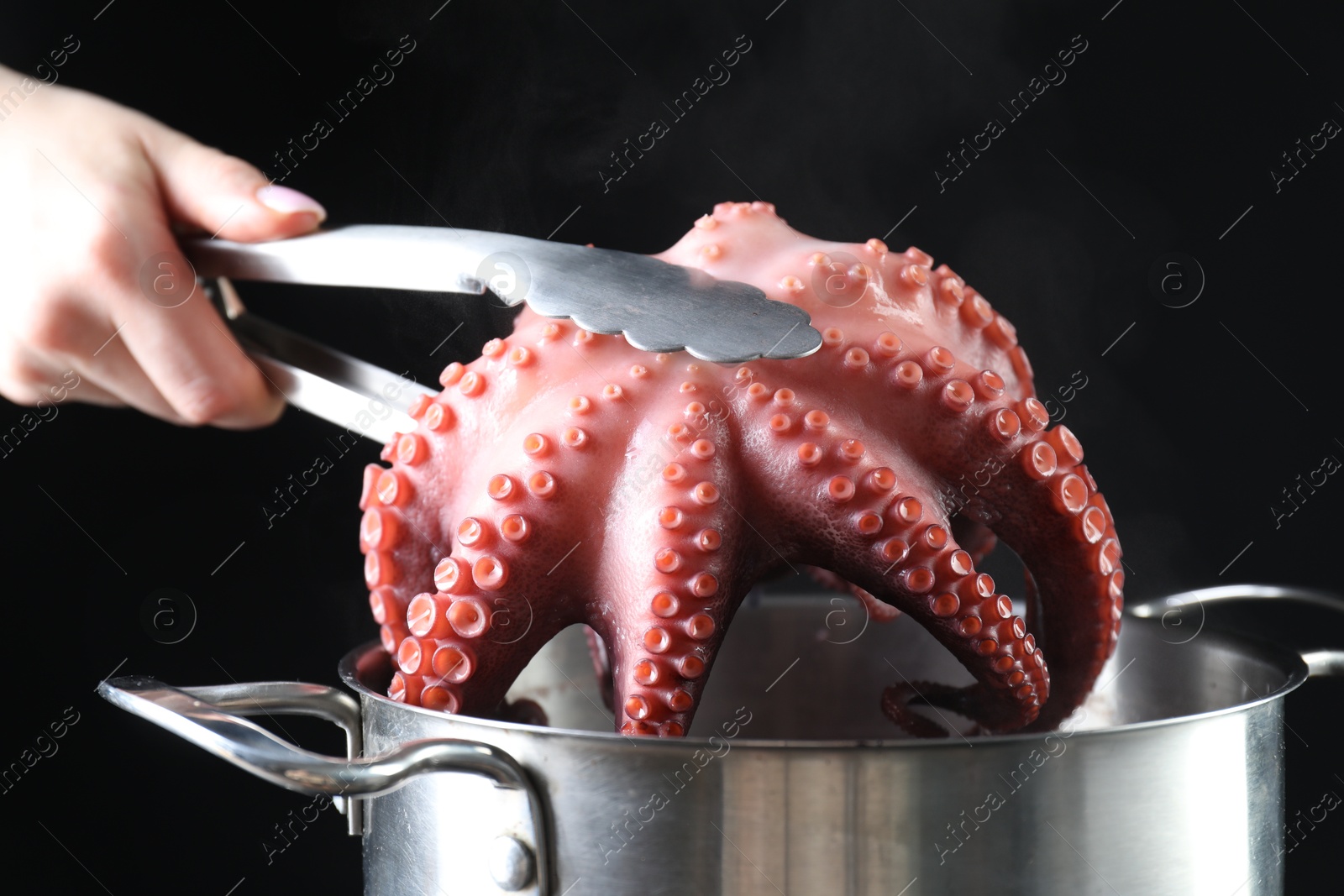 Photo of Woman taking boiled octopus from pan on stove, closeup