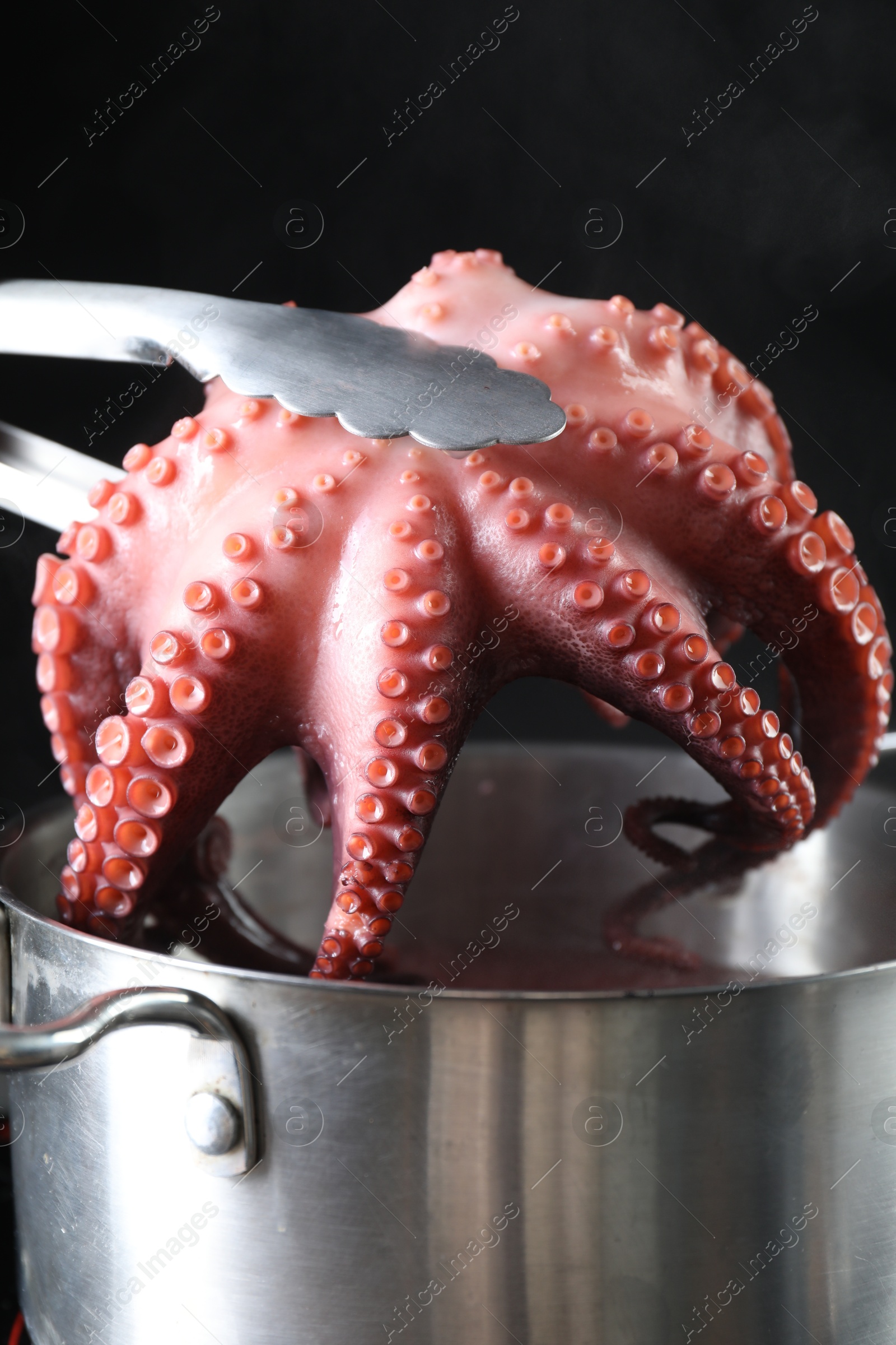 Photo of Putting fresh octopus into pan with boiled water on stove, closeup