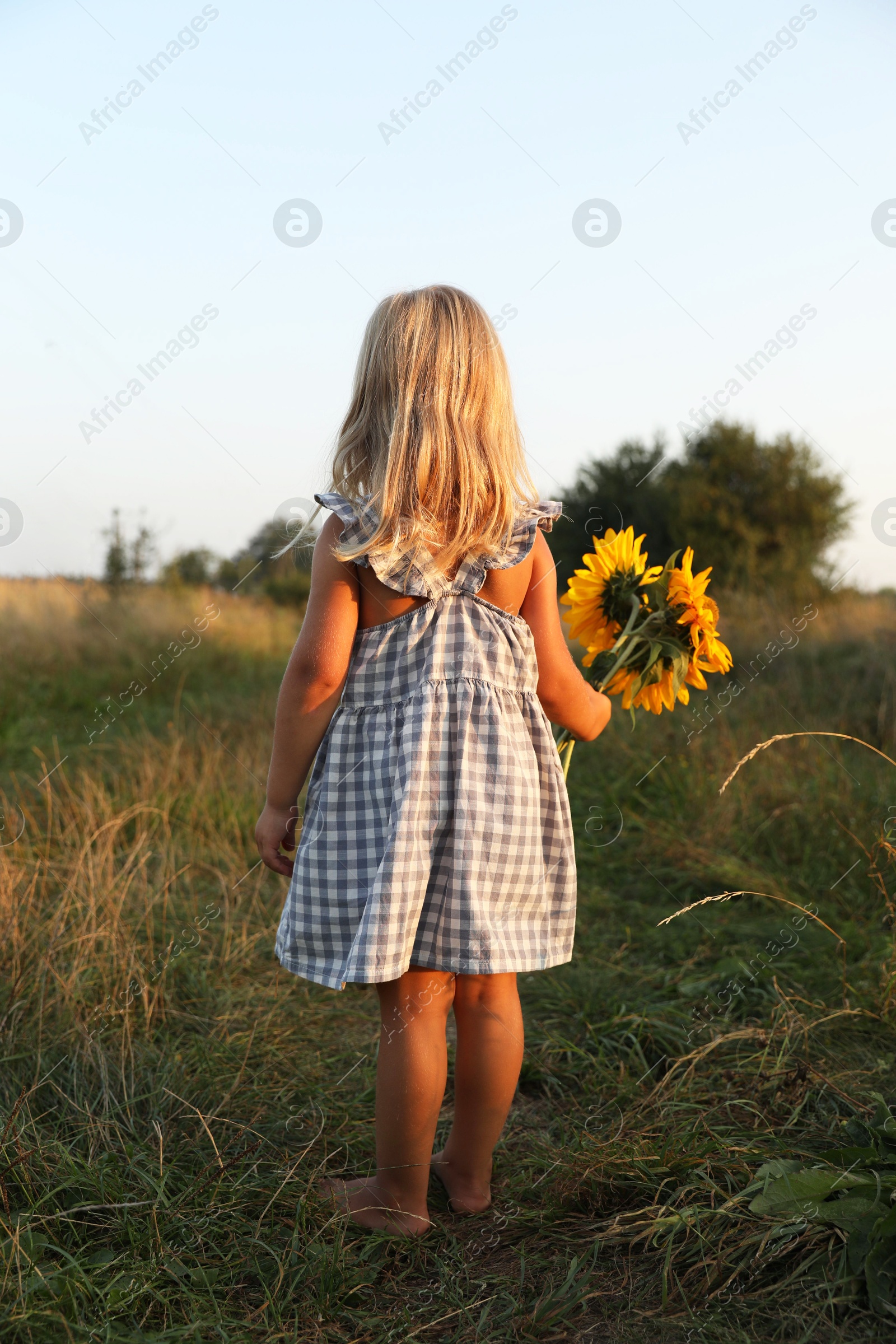 Photo of Little girl with sunflowers at meadow, back view. Child enjoying beautiful nature