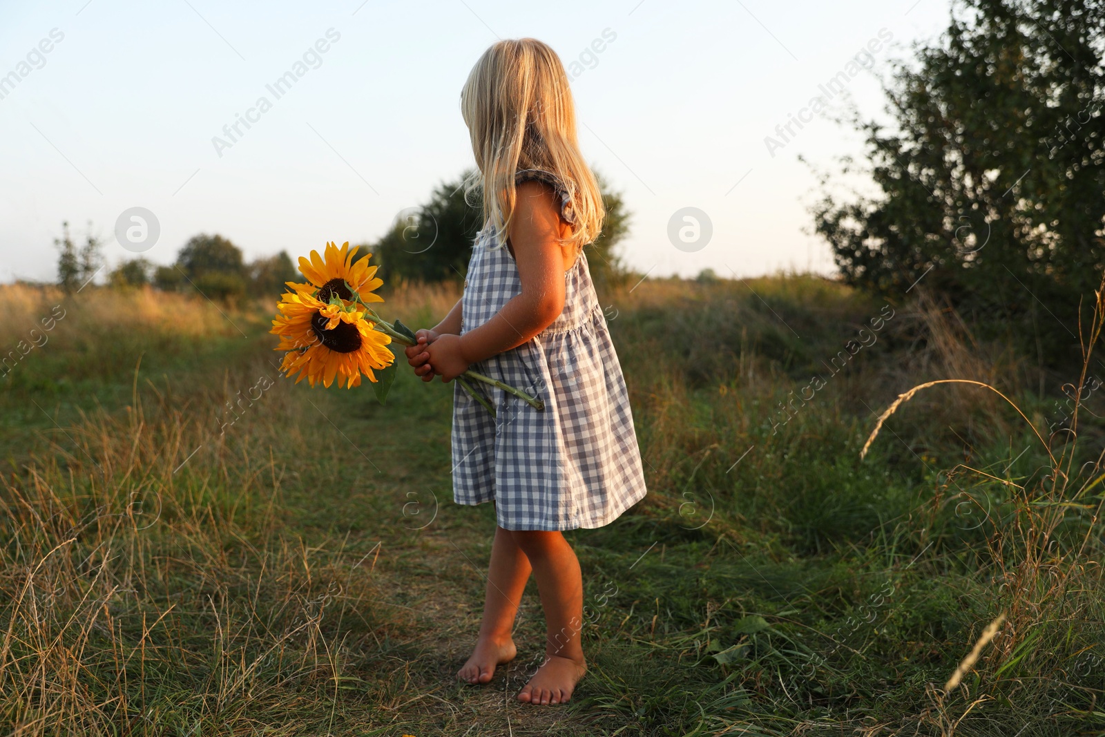 Photo of Little girl with sunflowers at meadow. Child enjoying beautiful nature