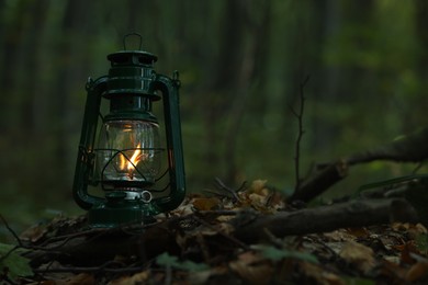 Photo of Vintage kerosene lamp in forest at evening, space for text