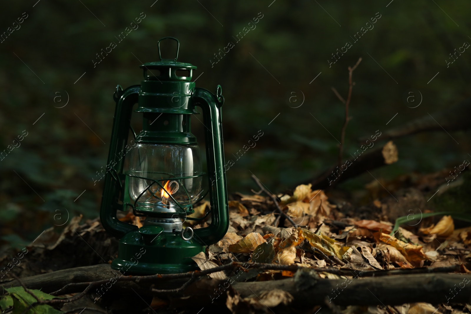 Photo of Vintage kerosene lamp in forest at evening, space for text