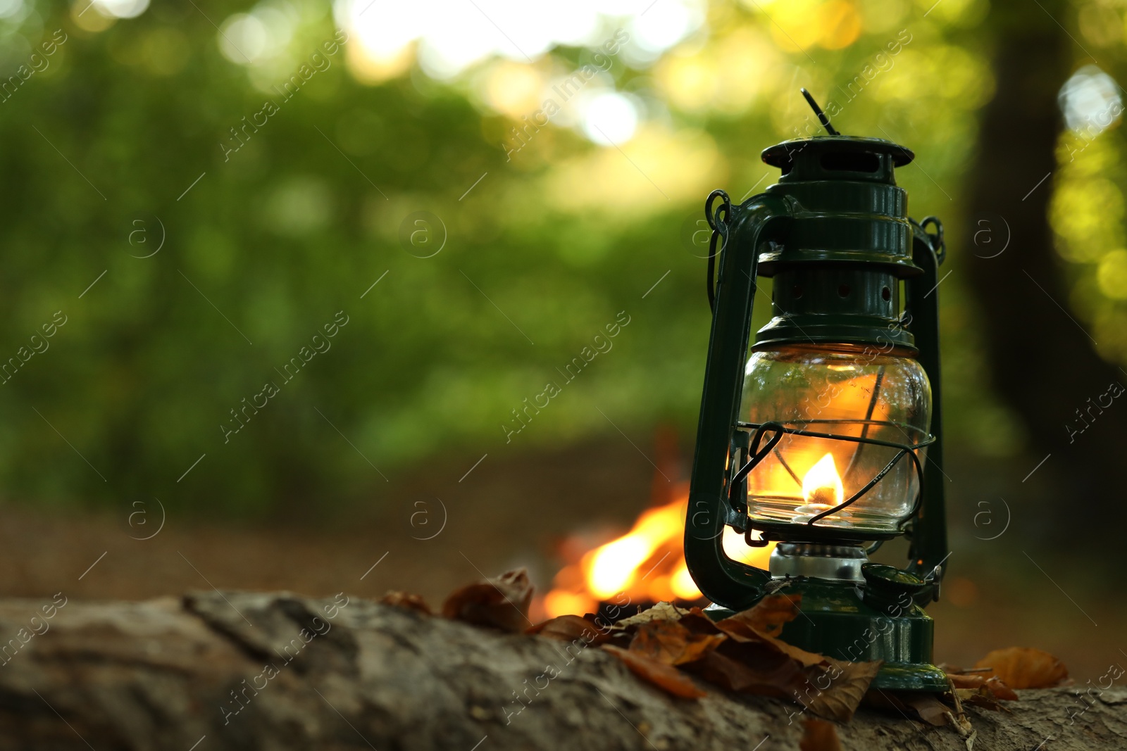 Photo of Vintage kerosene lamp in forest at evening, space for text