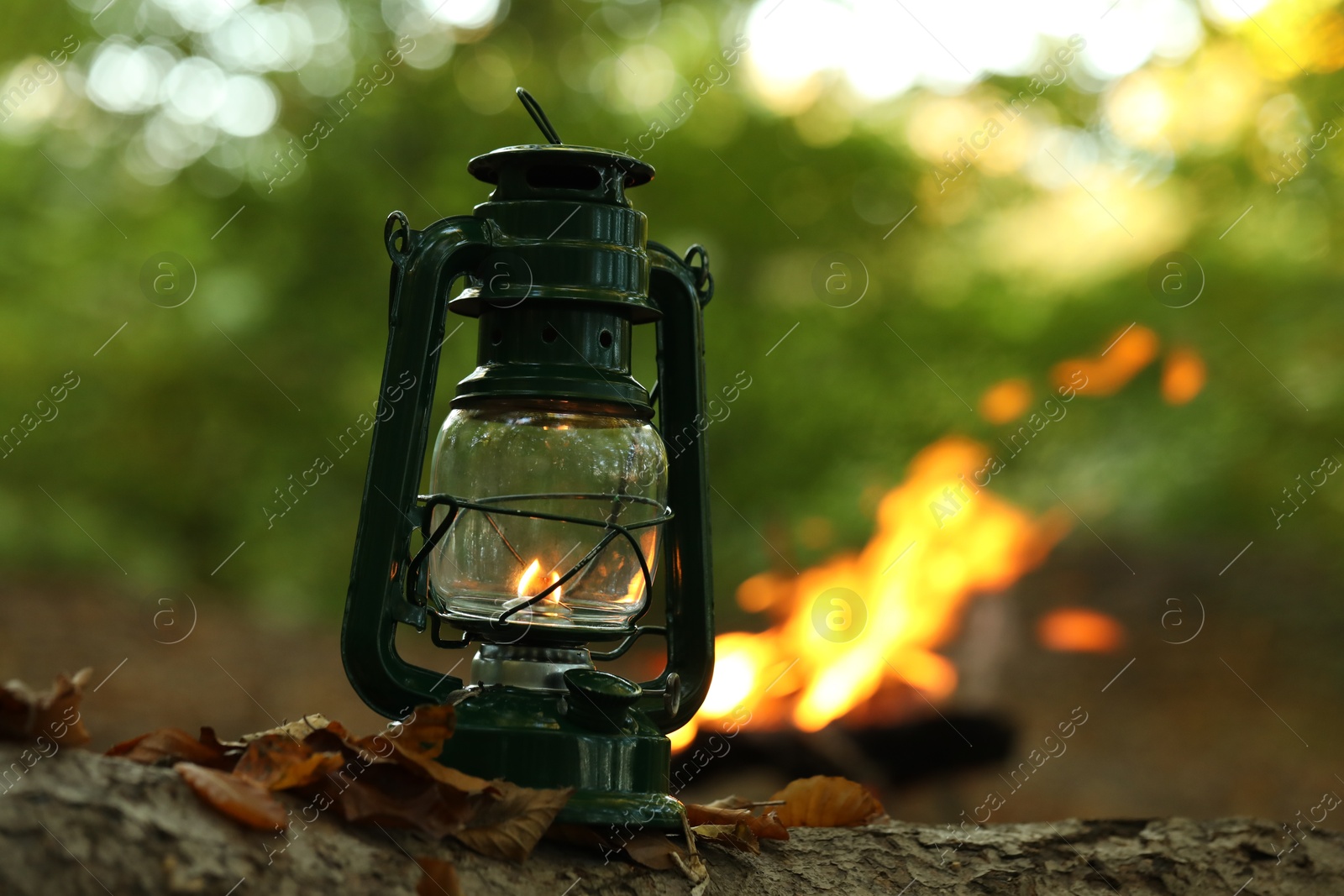 Photo of Vintage kerosene lamp in forest at evening, space for text