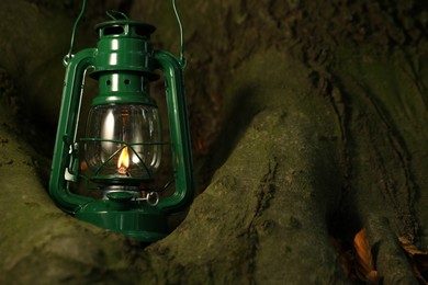 Photo of Vintage kerosene lamp near tree in forest at evening, space for text