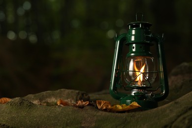 Photo of Vintage kerosene lamp near tree in forest at evening, space for text