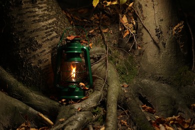 Photo of Vintage kerosene lamp near tree in forest at evening, space for text