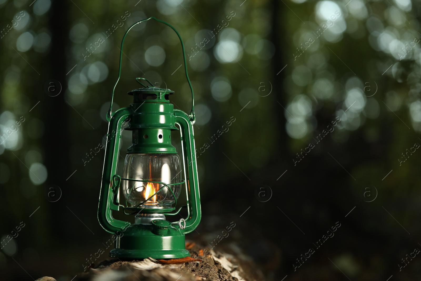 Photo of Vintage kerosene lamp in forest at evening, space for text