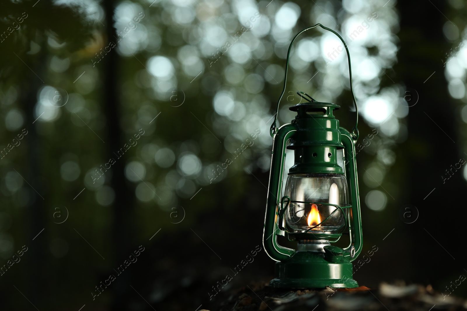 Photo of Vintage kerosene lamp in forest at evening, space for text