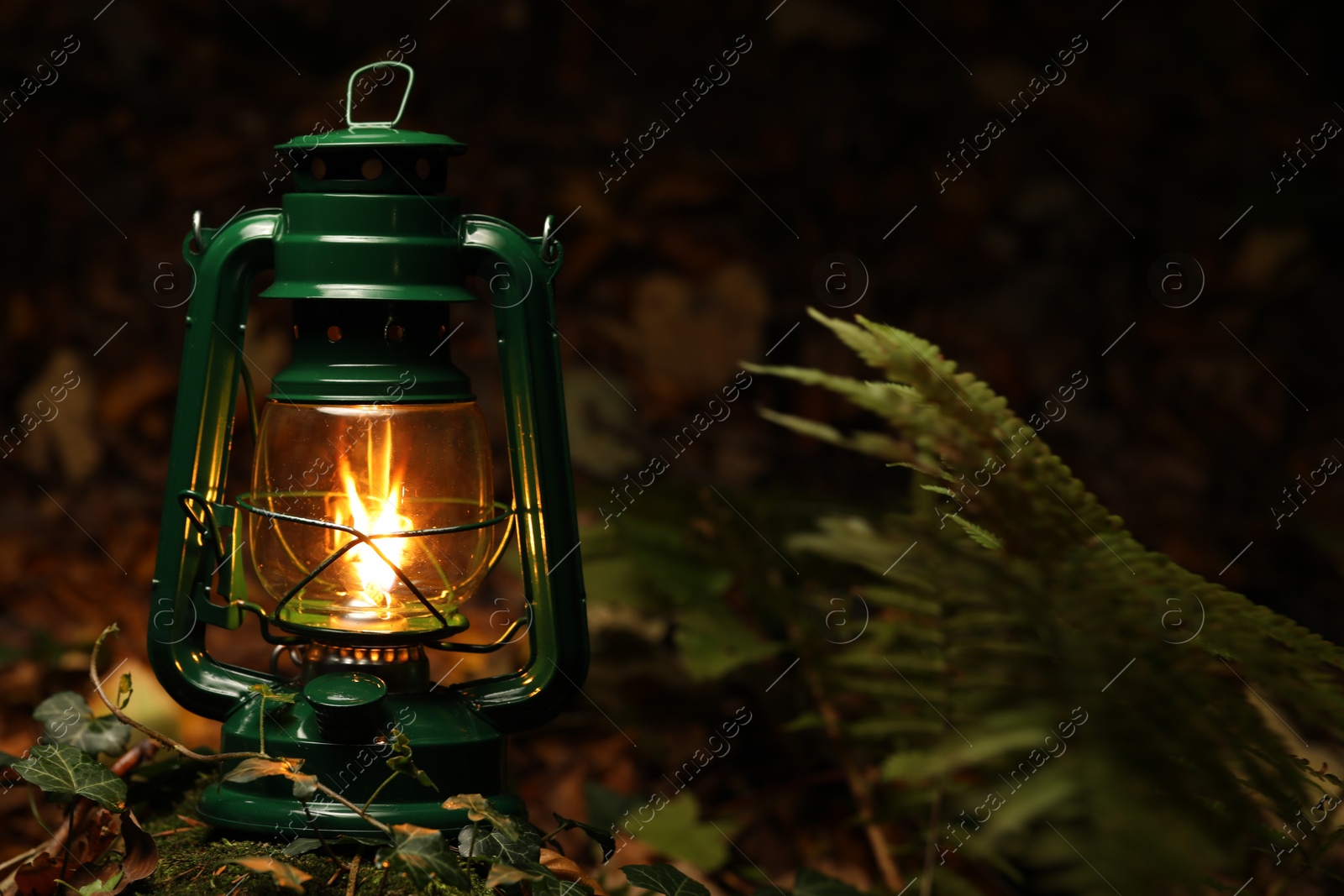 Photo of Vintage kerosene lamp in forest at evening, space for text