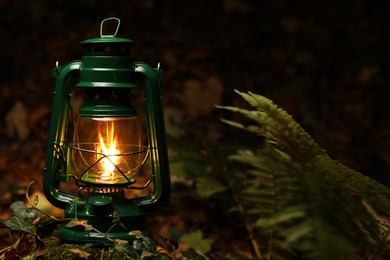 Photo of Vintage kerosene lamp in forest at evening, space for text