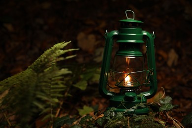 Photo of Vintage kerosene lamp in forest at evening, space for text