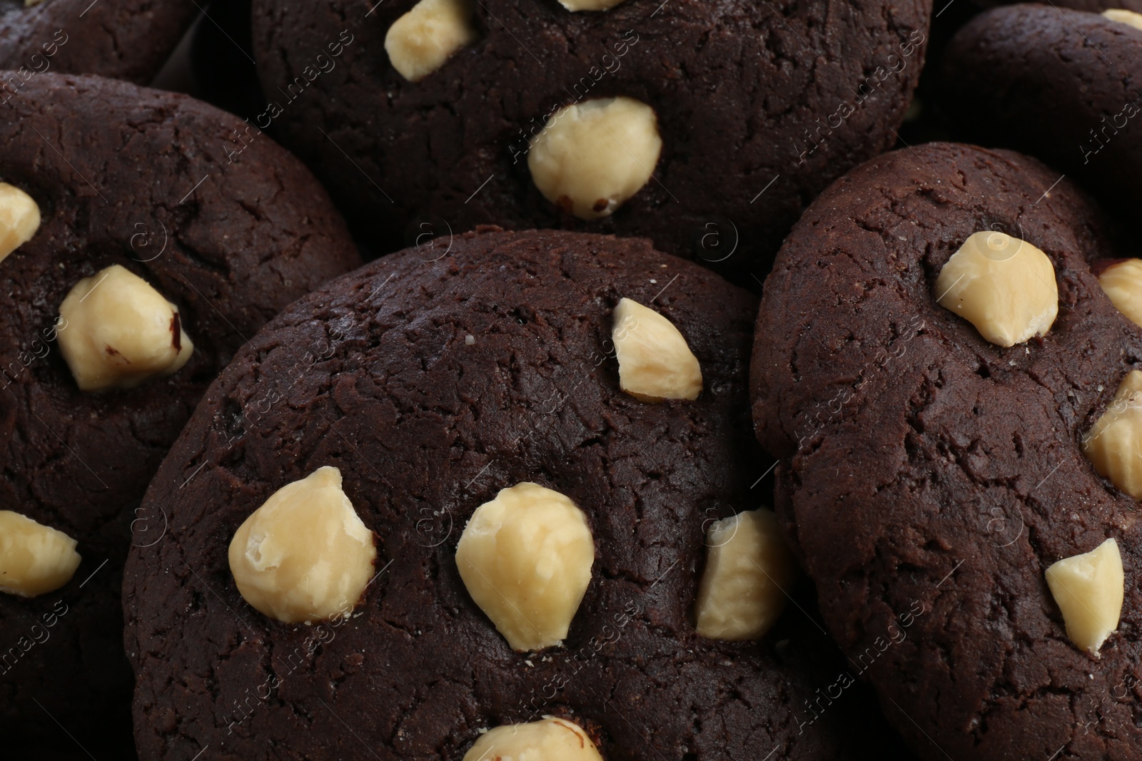 Photo of Tasty chocolate cookies with hazelnuts, closeup view