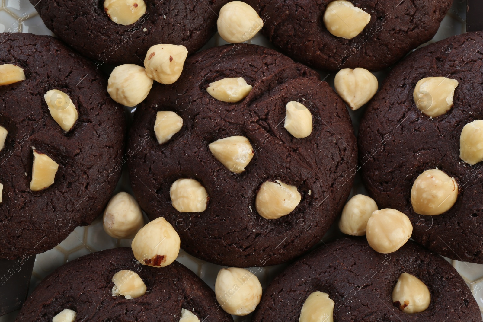 Photo of Tasty chocolate cookies with hazelnuts, closeup view