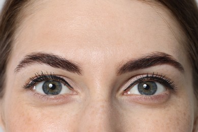 Photo of Beautiful young woman after henna eyebrows dyeing, closeup