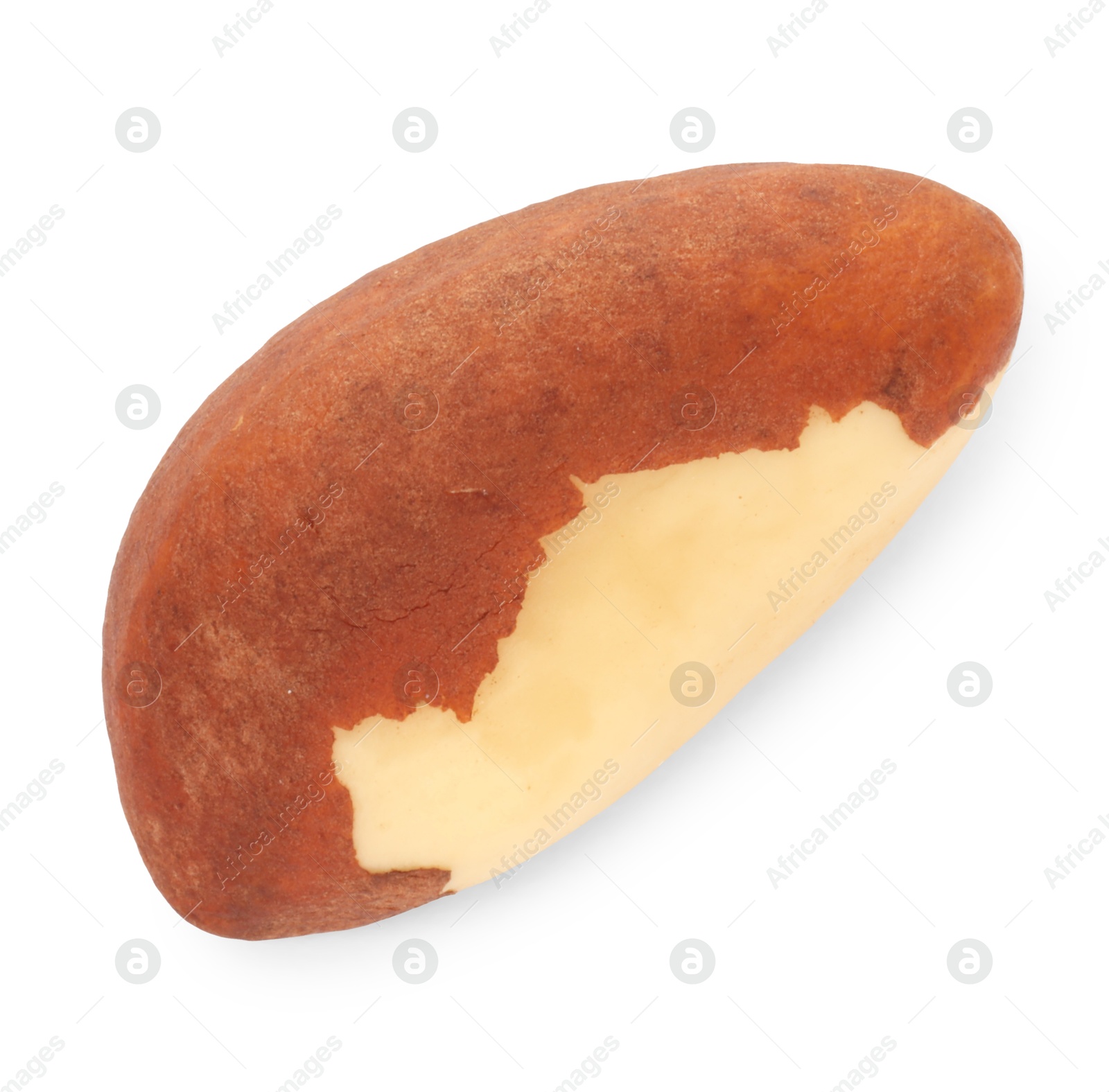 Photo of One tasty Brazil nut isolated on white