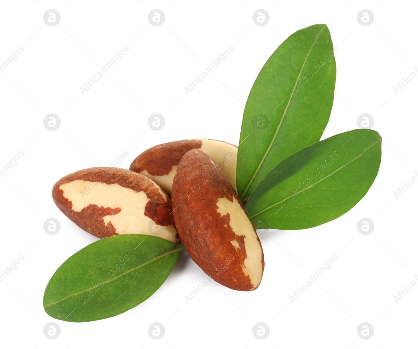 Photo of Tasty Brazil nuts with green leaves isolated on white