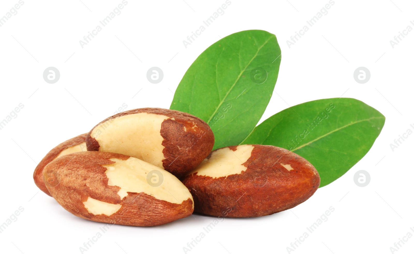 Photo of Tasty Brazil nuts with green leaves isolated on white