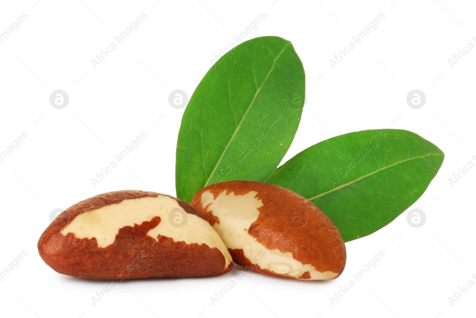 Photo of Tasty Brazil nuts with green leaves isolated on white