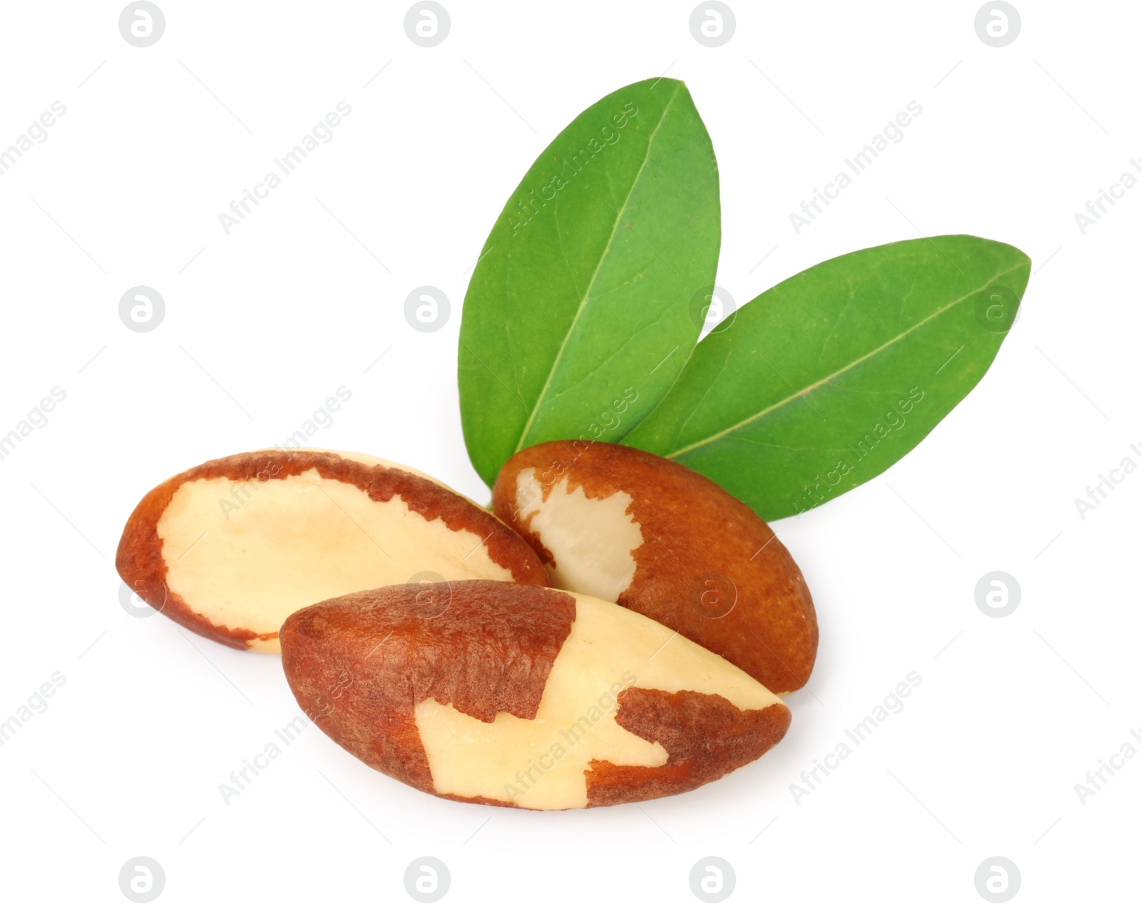 Photo of Tasty Brazil nuts with green leaves isolated on white