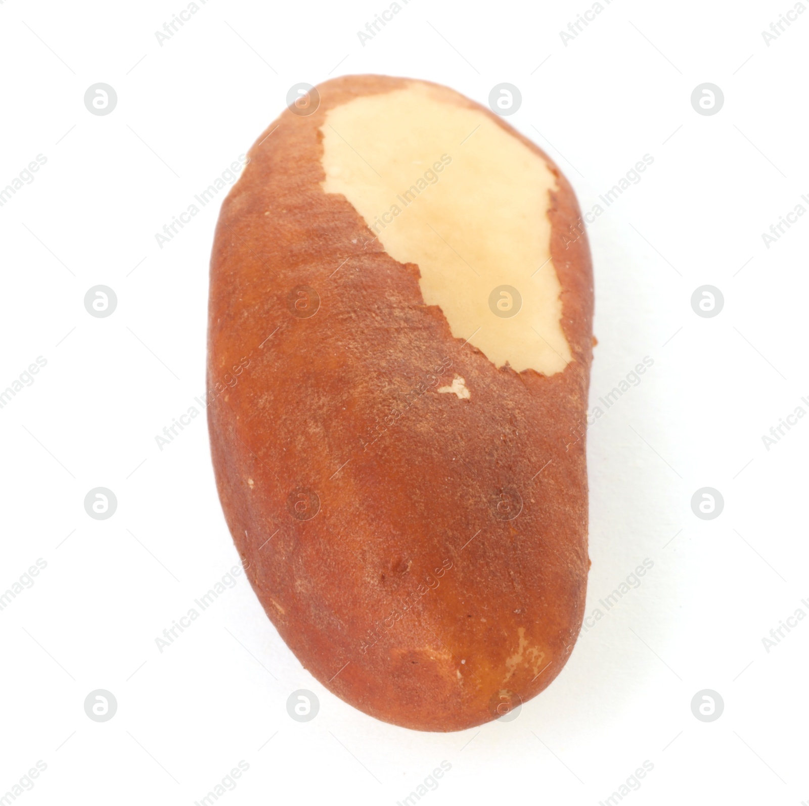 Photo of One tasty Brazil nut isolated on white