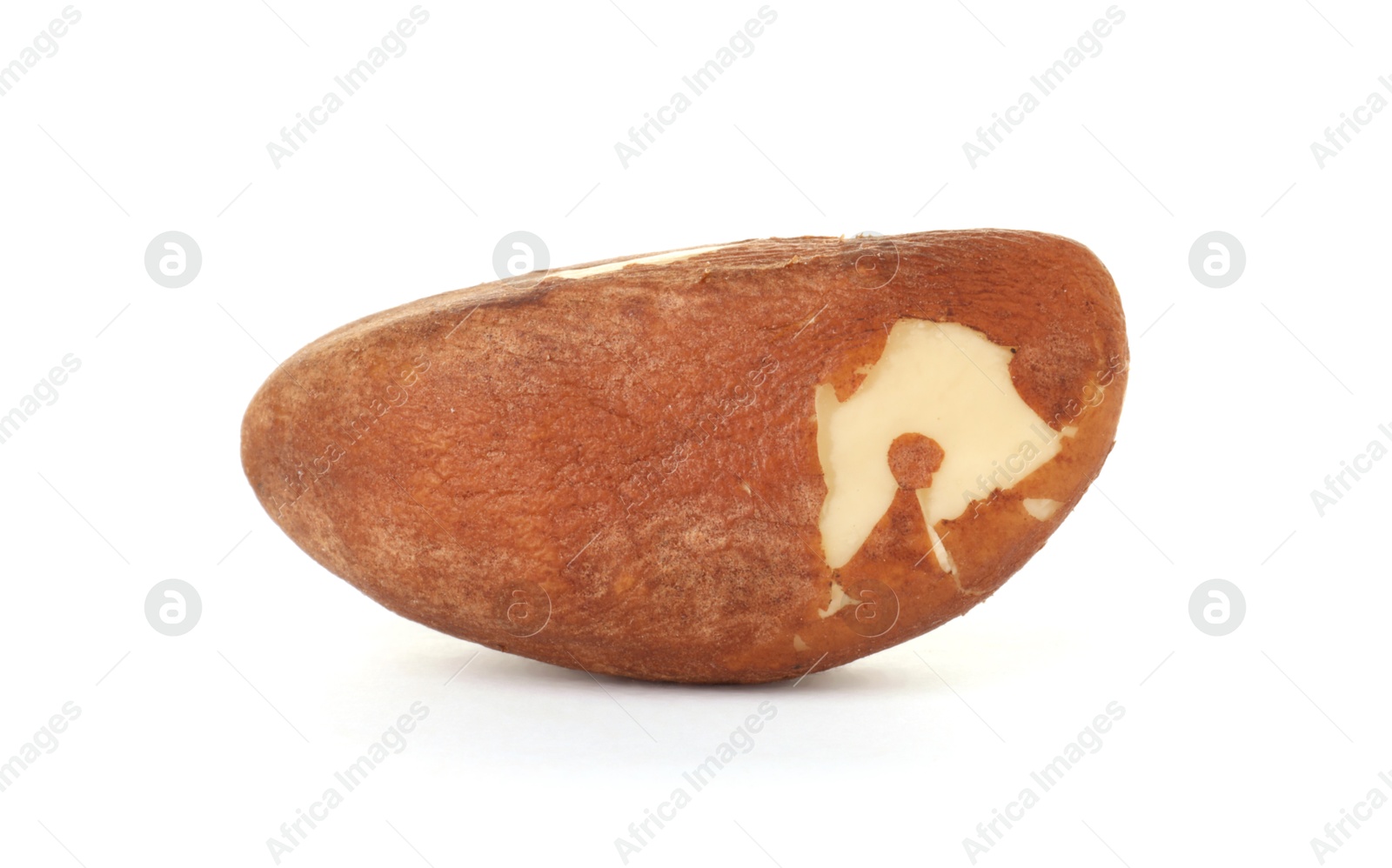 Photo of One tasty Brazil nut isolated on white