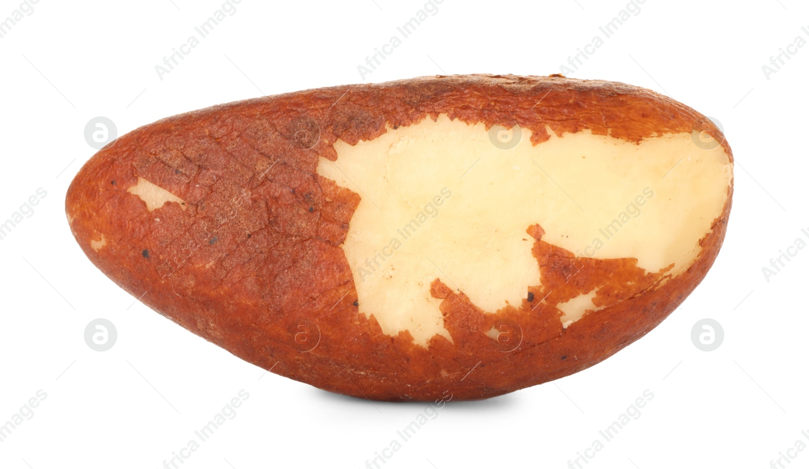 Photo of One tasty Brazil nut isolated on white