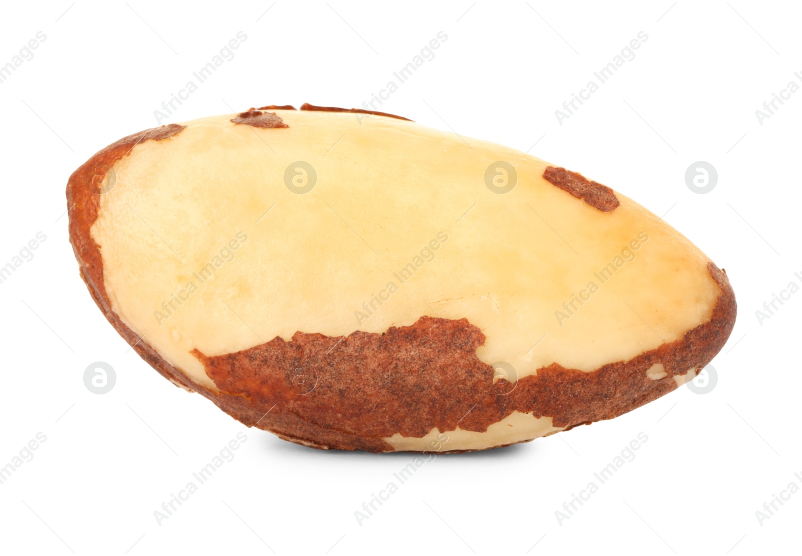 Photo of One tasty Brazil nut isolated on white